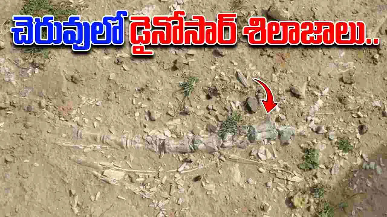 Dinosaur Era Fossils Uncovered : చెరువులో తవ్వుతుండగా కళ్లు జిగేల్.. బయటపడ్డ డైనోసార్ శిలాజాలు..