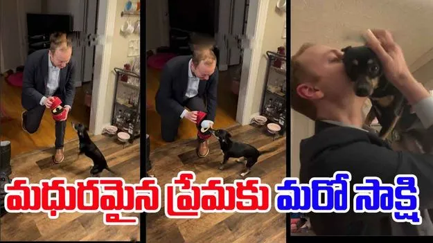True Love: ఇతని ప్రేమ ఎంత మధురం.. ఆమె కుక్కపిల్ల అనుమతి సైతం పొంది..పరవశించిపోయాడు