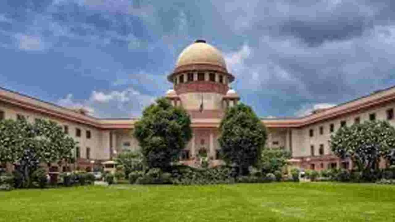 Supreme Court to Review Street Dog: సుప్రీంకోర్టు త్రిసభ్య ధర్మాసనానికి ఢిల్లీ వీధి కుక్కల కేసు 