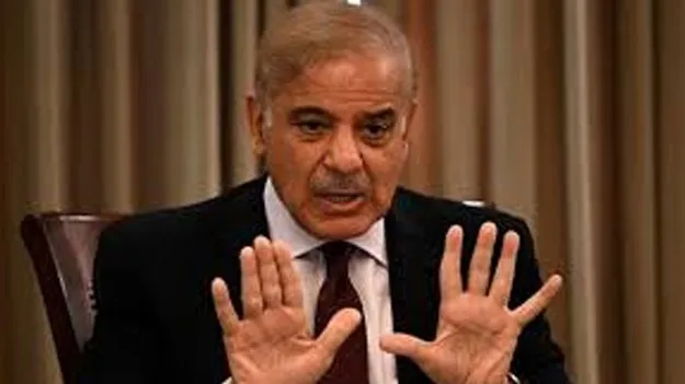 Shehbaz Sharif: 4 రోజుల్లో భారత్‌ అహాన్ని అణిచివేశాం