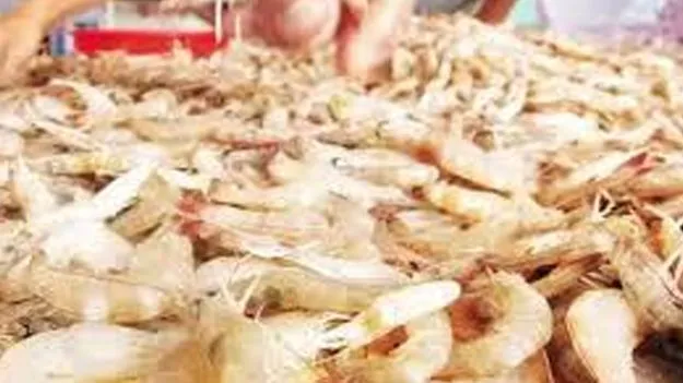 Aqua Licensing Made Easier: ఆక్వా లైసెన్సుల ప్రక్రియ సులభతరం