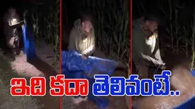 Farmer Experiment Video: చిన్న ట్రిక్‌తో.. పెద్ద సమస్యకు చెక్.. ఈ రైతు తెలివి మామూలుగా లేదుగా.. 