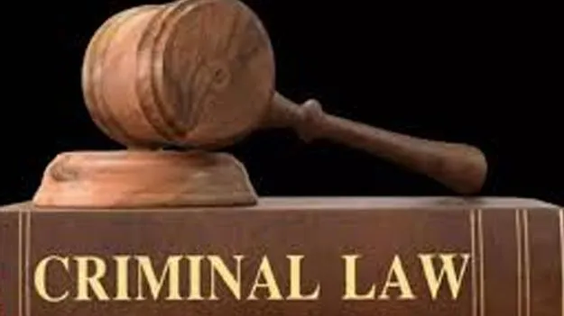 New Criminal Laws: క్రిమినల్‌ చట్టాల అమల్లో ఏపీ ఆదర్శం కావాలి