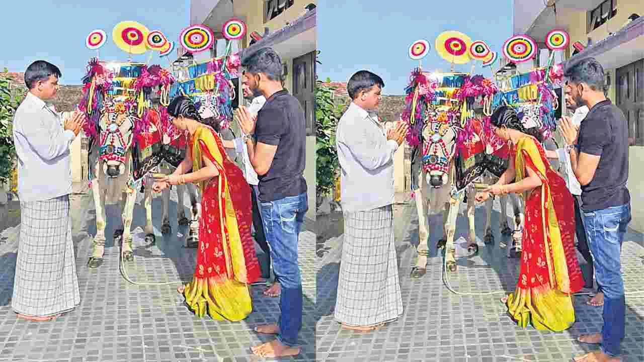 Polala Amavasya Celebrations: పోలాల పండుగ...సంబరాలు మెండుగా...