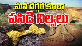 Gold Mines Odisha: చైనా, పాకిస్తాన్ మాత్రమే కాదు..మన దగ్గర కూడా భారీగా గోల్డ్ నిల్వలు