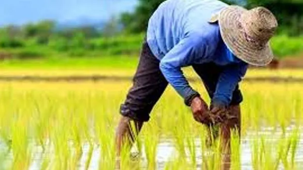 Farmer Rights: అఖిల భారత ఐక్య రైతు సంఘం ప్రథమ మహాసభలు   