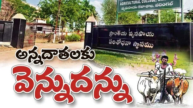 అన్నదాతలకు వెన్నుదన్ను