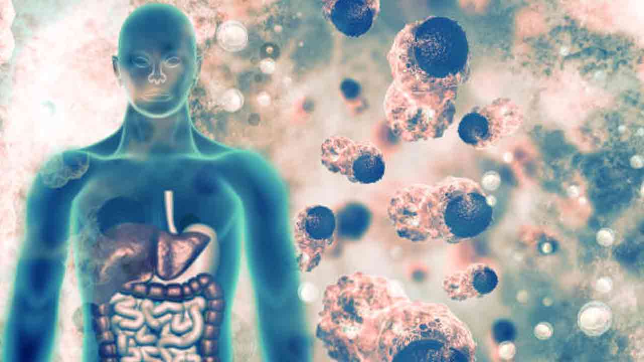 Health Tips: దనియాల నీటిని తాగడం వల్ల ఎన్ని లాభాలున్నాయో తెలుసా..