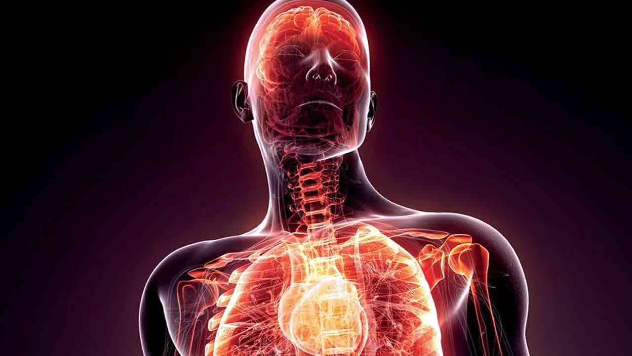 Health Tips: దనియాల నీటిని తాగడం వల్ల ఎన్ని లాభాలున్నాయో తెలుసా..