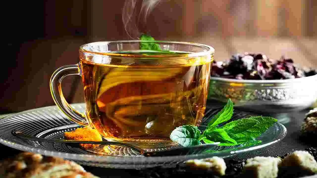 Monsoon Tips: వర్షాకాలంలో చీటికిమాటికీ జ్వరం వస్తోందా.. అయితే ఇలా చేయండి.. 