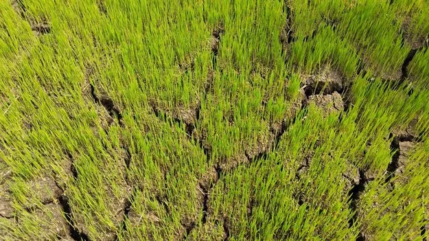 నైరుతి.!