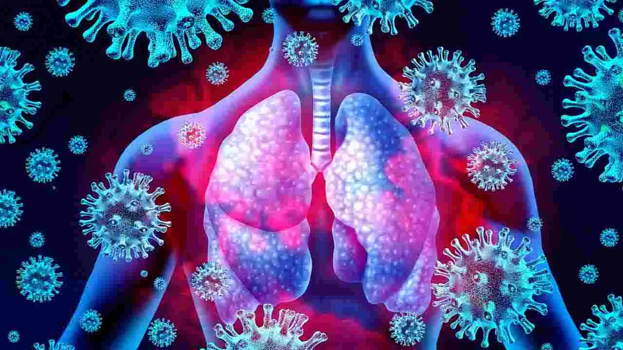 Health Tips: మొలకెత్తిన కొబ్బరి తినడం వల్ల ఏమవుతుందో తెలుసా.. 