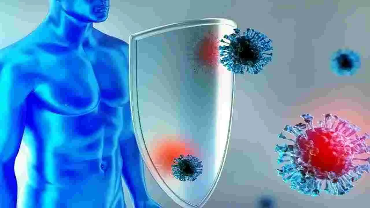 Health Tips: రోజూ ఈ పండు తిన్నారంటే చాలు.. అనారోగ్యం మీ దరి చేరకుండా ఉంటుంది.. 