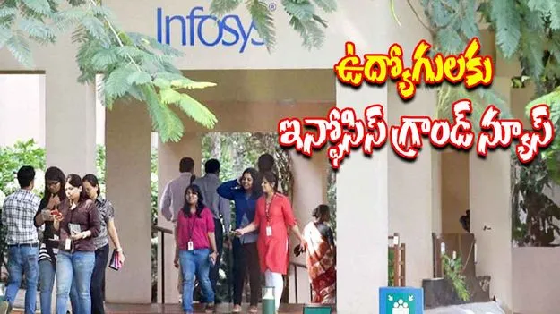 Infosys : ఉద్యోగులు ఉబ్బితబ్బిబ్బయ్యే వార్త చెప్పిన ఇన్ఫోసిస్