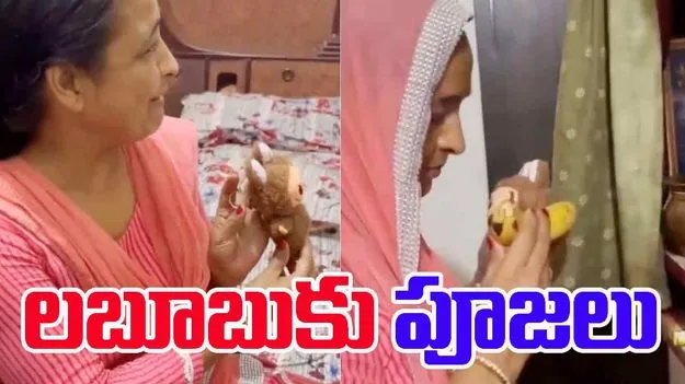 Viral Labubu Doll: పిచ్చి పీక్స్.. వైరల్ లబూబు బొమ్మకు పూజలు.. 