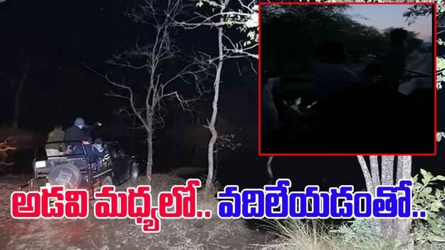Jungle Safari Viral Video: జంగిల్ సఫారీకి వెళ్లిన పర్యాటకులు.. మధ్యలో పారిపోయిన డ్రైవర్.. చివరకు.. 