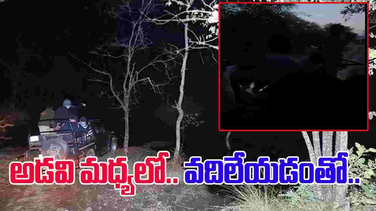 Jungle Safari Viral Video: జంగిల్ సఫారీకి వెళ్లిన పర్యాటకులు.. మధ్యలో పారిపోయిన డ్రైవర్.. చివరకు.. 