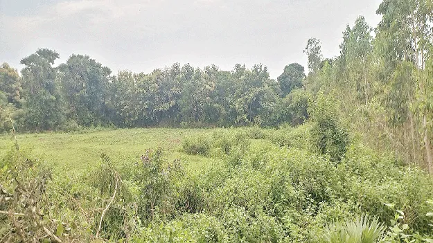 పోలవరం ఎడమ కాలువ పనుల్లో మళ్లీ కదలిక