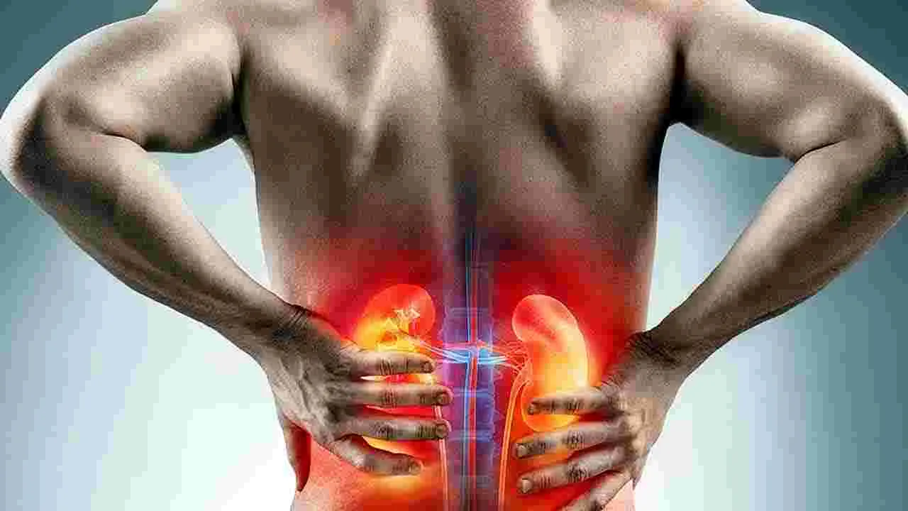 Health Tips: మొలకెత్తిన కొబ్బరి తినడం వల్ల ఏమవుతుందో తెలుసా.. 