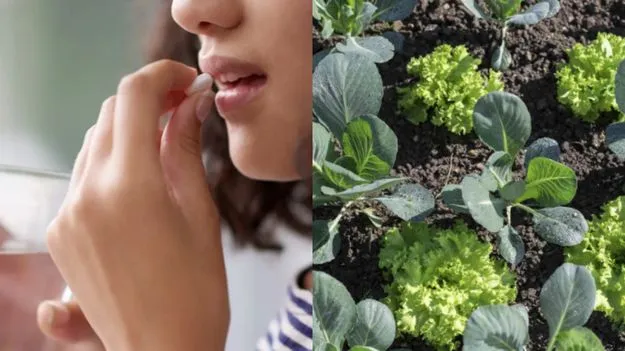 Health Tips: మందులు తీసుకున్న తర్వాత ఈ ఆహారాలు అస్సలు తినకండి.!