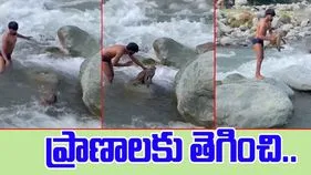 Men Brave Rushing: కోతిని కాపాడ్డానికి యువకుల సాహసం.. ప్రాణాలకు తెగించి.. 