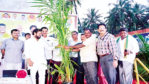 ఉద్యాన పంటలకు ప్రభుత్వం చేయూత