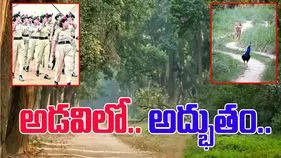 National Animal And Bird: స్వాతంత్య్ర దినోత్సవం రోజున పులి, నెమలి కవాతు.. వీడియో వైరల్.. 