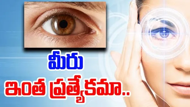 Colors Neuroscience: మీరు ఇంత ప్రత్యేకమా.. ఈ విషయం తెలిస్తే ఆశ్చర్యపోతారు..