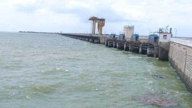 ప్రాజెక్టులకు జలకళ