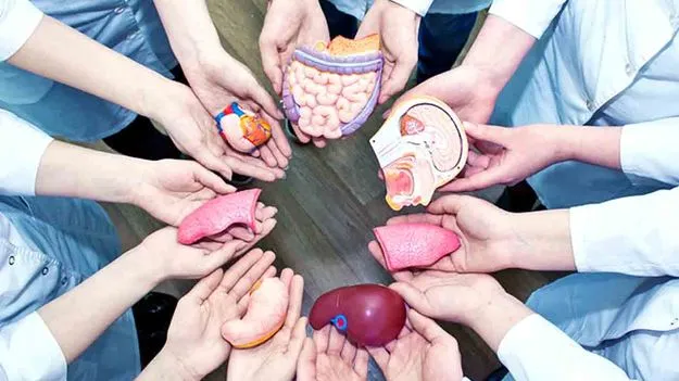 Organ Donation Awareness: జీవిద్దాం రండి... అవయవదానంతో పునర్జన్మ