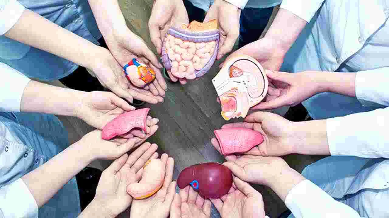 Organ Donation Awareness: జీవిద్దాం రండి... అవయవదానంతో పునర్జన్మ