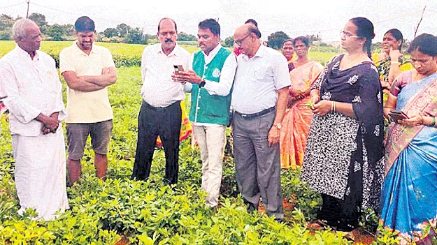 ఈ పంట నమోదు తప్పనిసరి