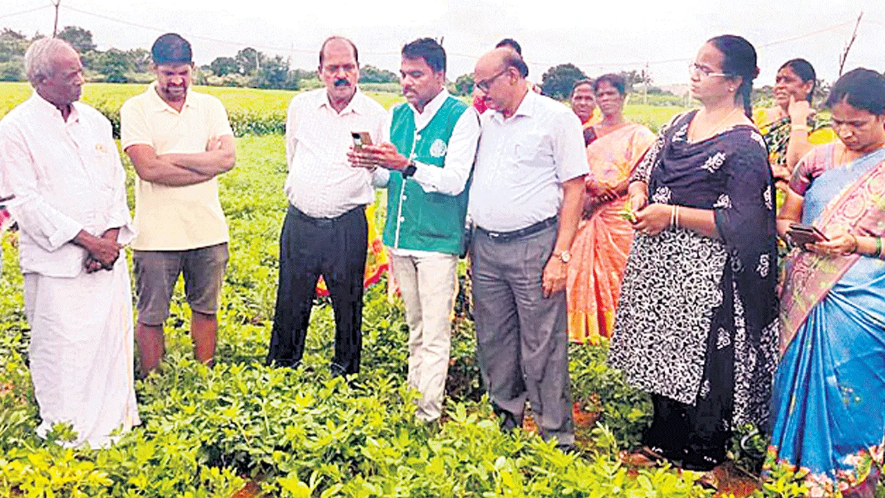 ఈ పంట నమోదు తప్పనిసరి