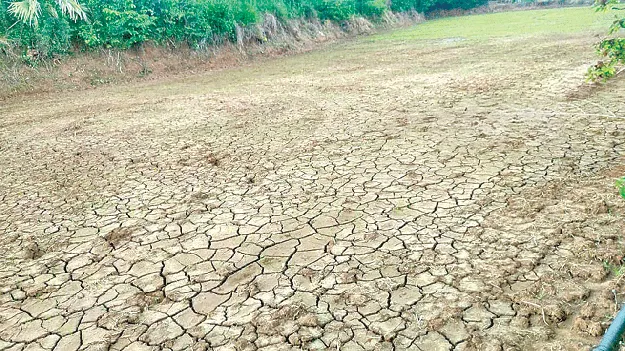 No Water  నారుకు నీరేదీ?