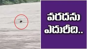Andhra Pradesh: వరదను ఎదురీది.. అదృష్ట జాతకుడు..!