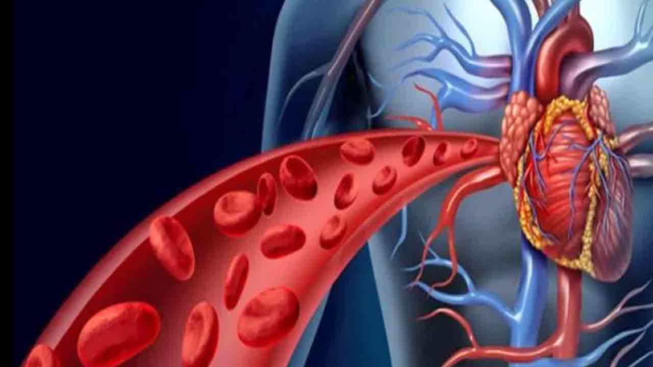 Health Tips: దనియాల నీటిని తాగడం వల్ల ఎన్ని లాభాలున్నాయో తెలుసా..