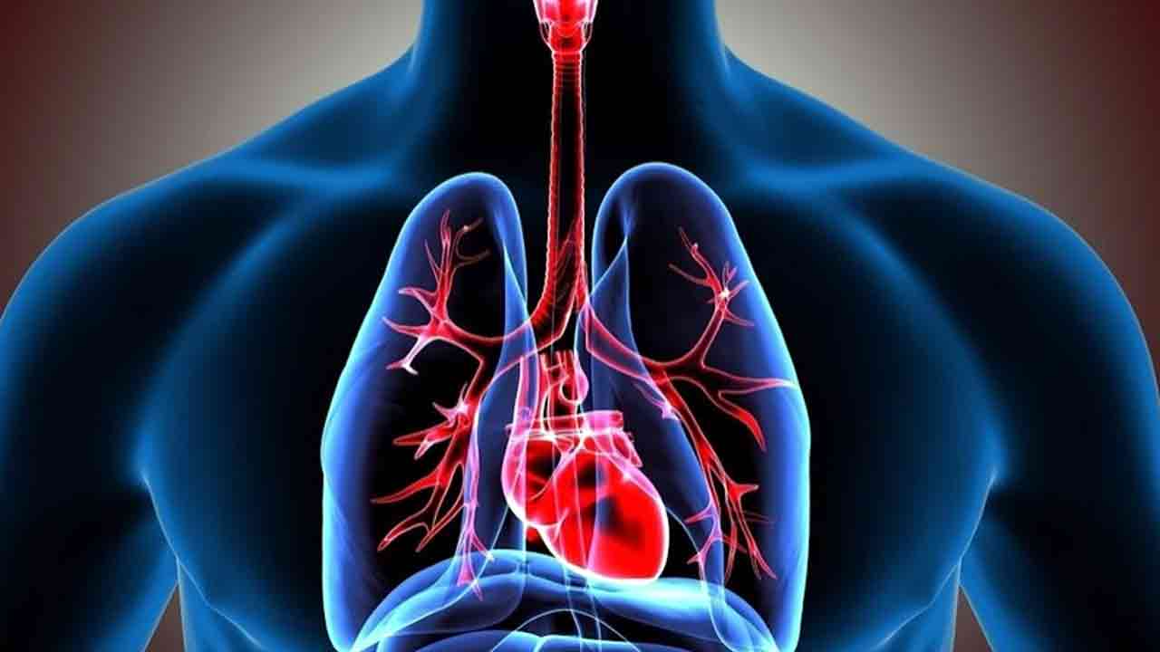 Health Tips: నెయ్యి దీపం వెలిగించిన గదిలో నిద్రపోతే.. ఎన్ని లాభాలున్నాయో తెలుసా.. 