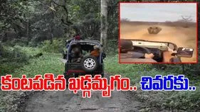 Rhino Viral Video: ఊపిరి బిగపట్టి చూడాల్సిన వీడియో.. కారుకు ఎదురొచ్చిన ఖడ్గమృగం.. చివరకు.. 