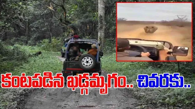 Rhino Viral Video: ఊపిరి బిగపట్టి చూడాల్సిన వీడియో.. కారుకు ఎదురొచ్చిన ఖడ్గమృగం.. చివరకు.. 