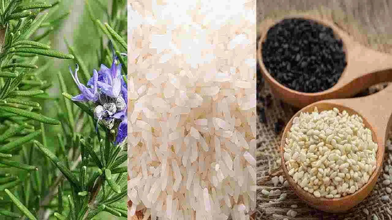 Hair Health: జుట్టు రాలడం 15 రోజుల్లో తగ్గిపోవాలంటే.. సింపుల్‌గా ఇలా చేయండి.. 