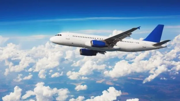 Romance on Flight: విమానం కాక్‌పిట్‌లో పైలట్‌ల రొమాన్స్.. సంచలన విషయాలు బయటపెట్టిన ఎయిర్‌హోస్టెస్