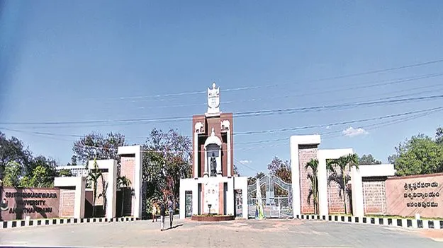 SKU : వర్సిటీకి సున్నం