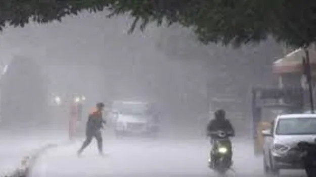 Heavy Rains Expected in Telangana: తెలంగాణలో 21 వరకు భారీ వర్షాలు 