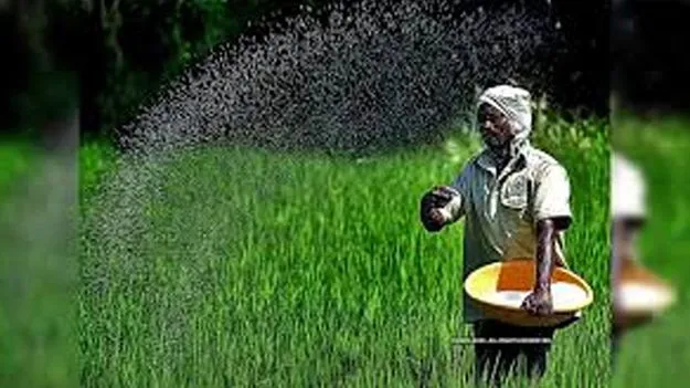 Farmers Trapped by Hybrid: రైతుకు బహుళ కుచ్చుటోపీ