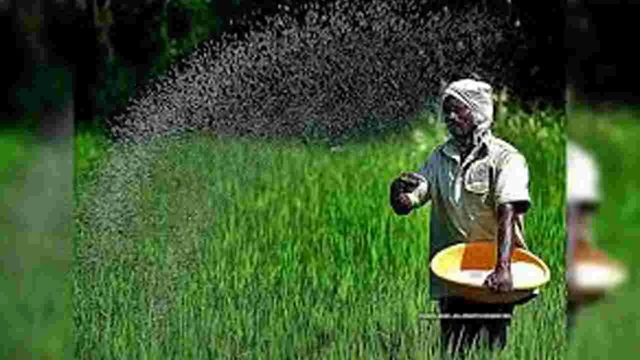 Farmers Trapped by Hybrid: రైతుకు బహుళ కుచ్చుటోపీ