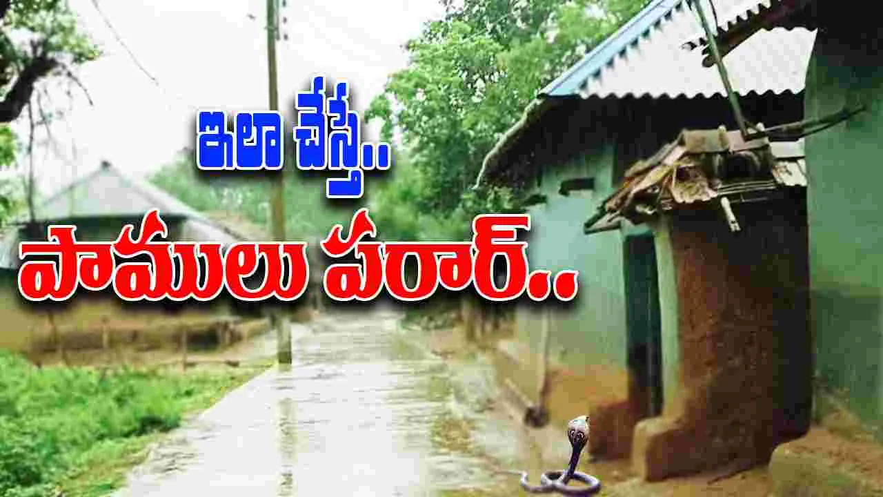 Keep Snakes Away Tips: ఇళ్లల్లోకి పాములు రాకుండా ఉండాలంటే.. సింపుల్‌గా ఇలా చేయండి చాలు.. 