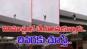 Stunt Gone Wrong: బ్రిడ్జిపై నిలబడ్డ వ్యక్తి.. కింద వెళ్తున్న లగేజీ ఆటో.. సడన్‌గా దూకేయడంతో.. 