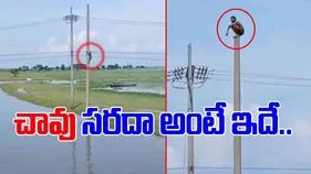 Stunt Viral Video: ఇదెక్కడి సరదారా నాయనా.. స్తంభం పైకి ఎక్కి మరీ..