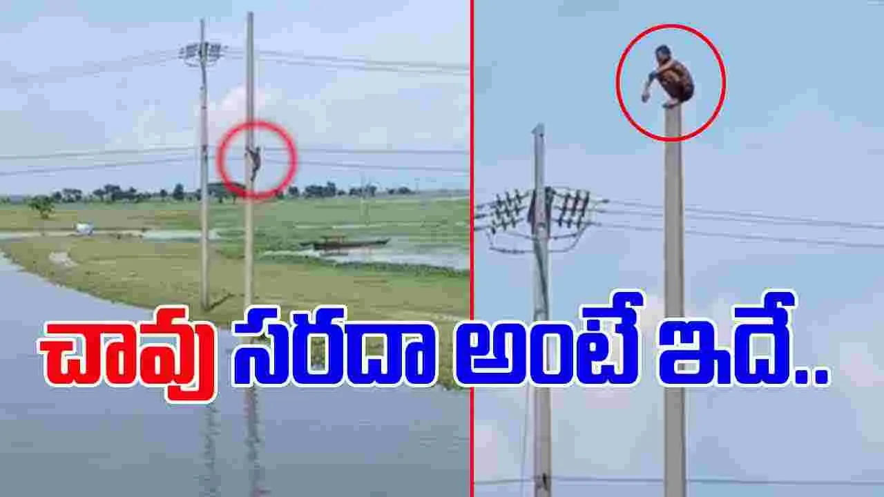 Stunt Viral Video: ఇదెక్కడి సరదారా నాయనా.. స్తంభం పైకి ఎక్కి మరీ..