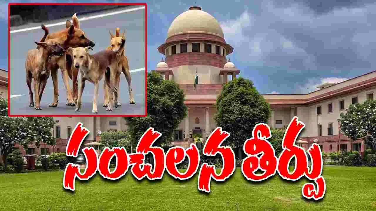 Supreme On Stray Dogs: వీధి కుక్కల కేసులో సుప్రీం సంచలన తీర్పు